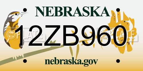 12ZB960 Nebraska License Plate
