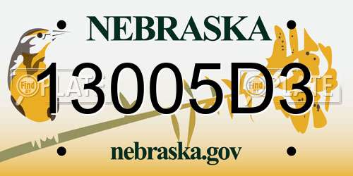 13005D3 Nebraska License Plate