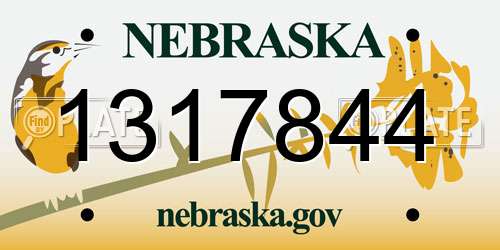 1317844 Nebraska License Plate