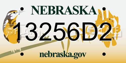 13256D2 Nebraska License Plate
