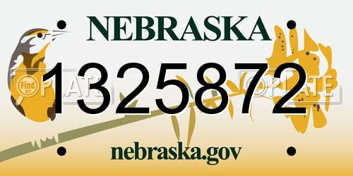 1325872 Nebraska License Plate