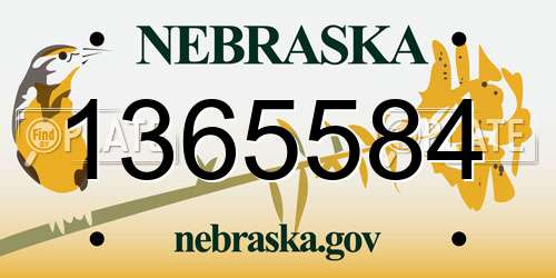1365584 Nebraska License Plate