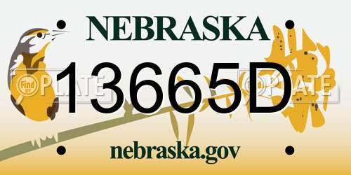13665D Nebraska License Plate