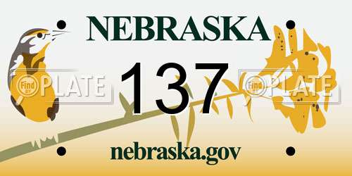 137 Nebraska License Plate