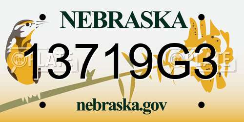 13719G3 Nebraska License Plate