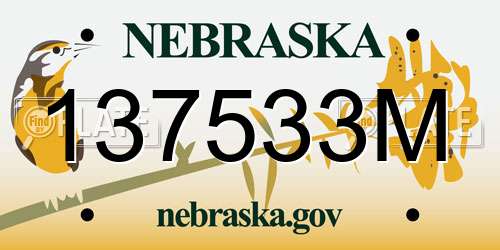137533M Nebraska License Plate