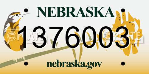 1376003 Nebraska License Plate