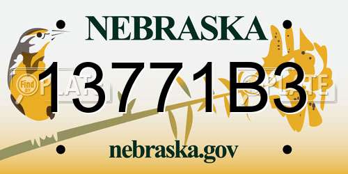 13771B3 Nebraska License Plate