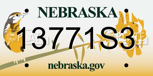 13771S3 Nebraska License Plate