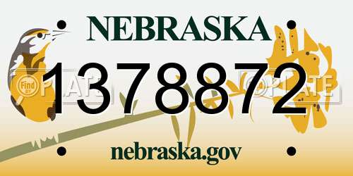 1378872 Nebraska License Plate