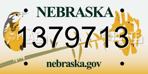 1379713 Nebraska License Plate