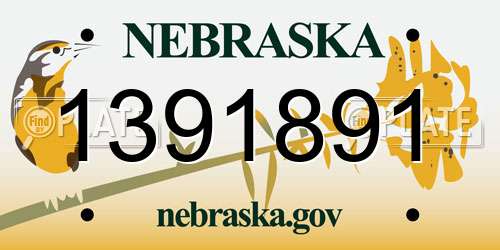 1391891 Nebraska License Plate
