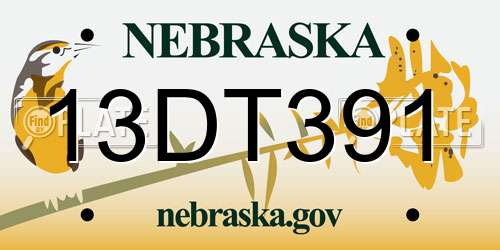 13DT391 Nebraska License Plate
