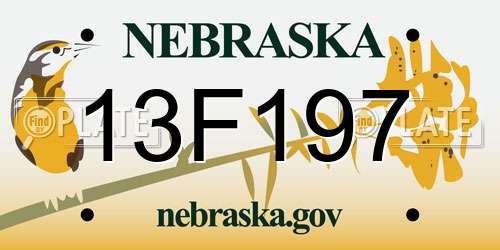 13F197 Nebraska License Plate