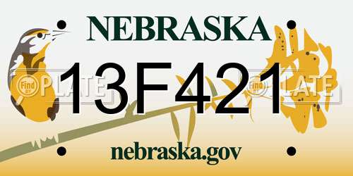 13F421 Nebraska License Plate