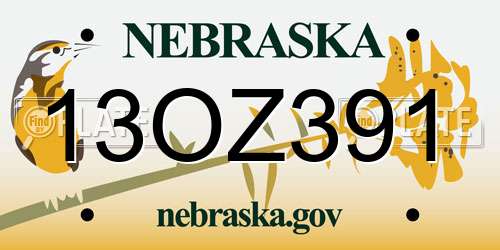 13OZ391 Nebraska License Plate