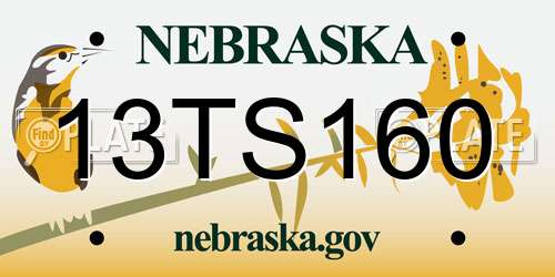 13TS160 Nebraska License Plate