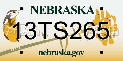 13TS265 Nebraska License Plate