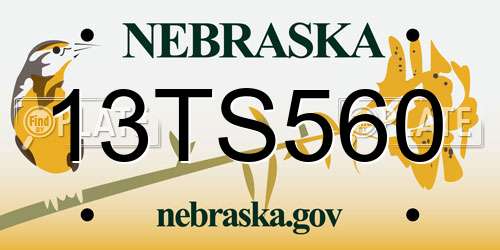 13TS560 Nebraska License Plate