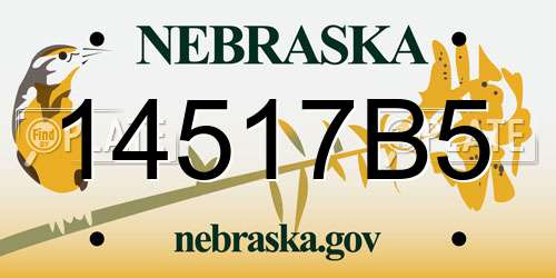 14517B5 Nebraska License Plate