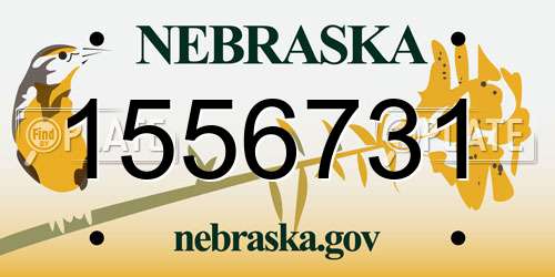 1556731 Nebraska License Plate