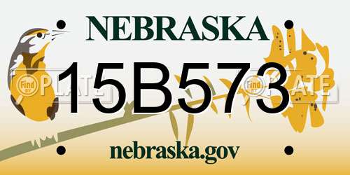 15B573 Nebraska License Plate