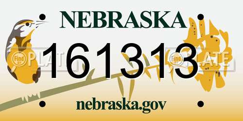 161313 Nebraska License Plate