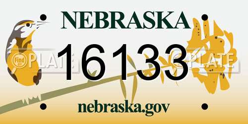16133 Nebraska License Plate