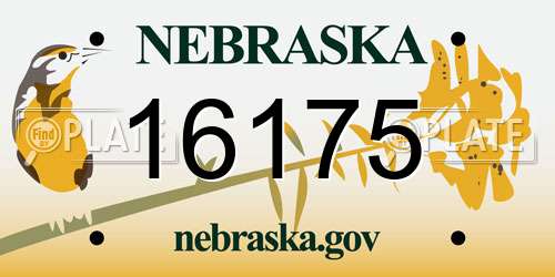 16175 Nebraska License Plate