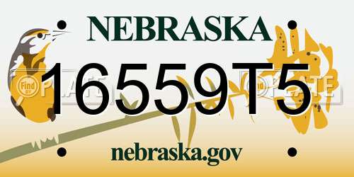 16559T5 Nebraska License Plate