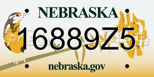 16889Z5 Nebraska License Plate