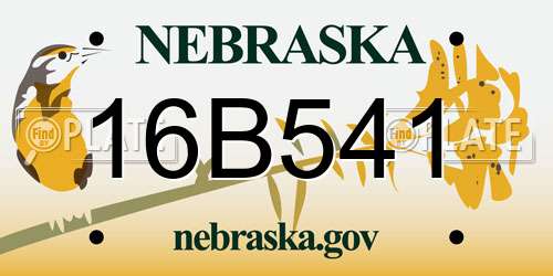 16B541 Nebraska License Plate