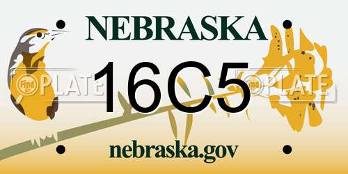 16C5 Nebraska License Plate