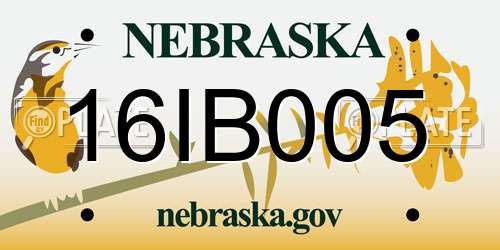 16IB005 Nebraska License Plate
