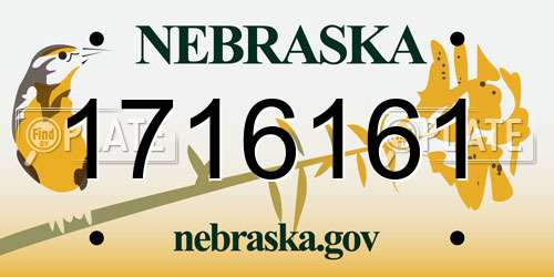 1716161 Nebraska License Plate