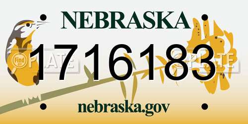 1716183 Nebraska License Plate