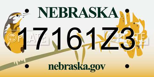 17161Z3 Nebraska License Plate