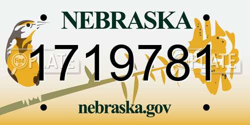 1719781 Nebraska License Plate