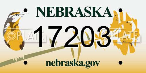 17203 Nebraska License Plate