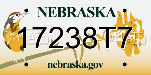 17238T7 Nebraska License Plate