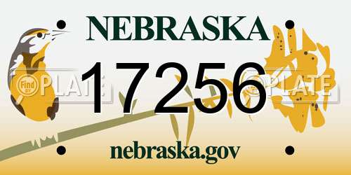 17256 Nebraska License Plate