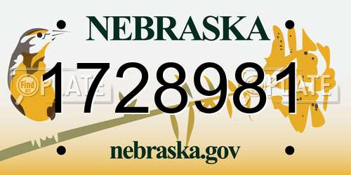 1728981 Nebraska License Plate