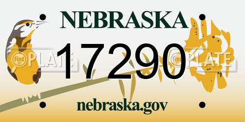 17290 Nebraska License Plate