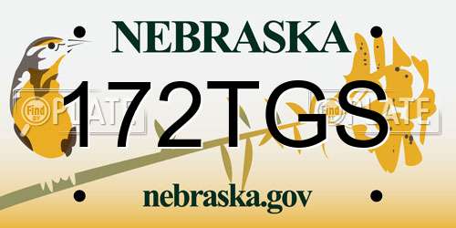 172TGS Nebraska License Plate