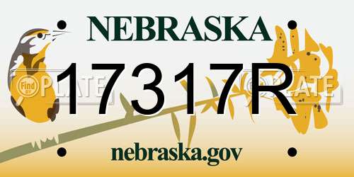 17317R Nebraska License Plate