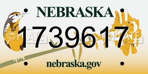 1739617 Nebraska License Plate
