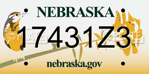 17431Z3 Nebraska License Plate
