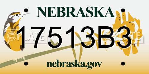 17513B3 Nebraska License Plate