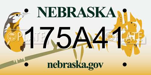 175A41 Nebraska License Plate