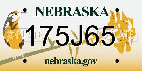 175J65 Nebraska License Plate
